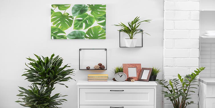 trucos para insonorizar habitación